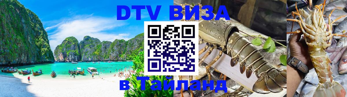 Сколько стоит DTV виза — актуальные цены, оформление даже без документов - 21.11.2025 